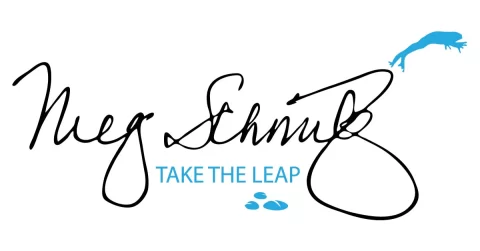 Meg-Schmitz-Logo